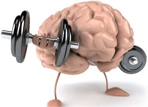 Medicines to improve brain circulation